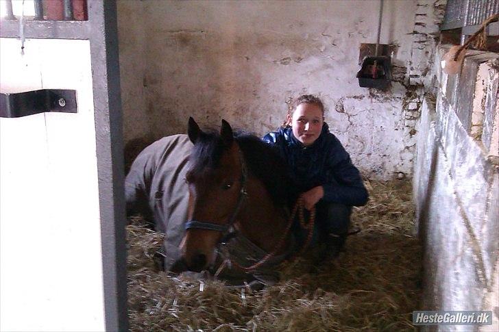 Anden særlig race kashede´s precious jewel!!<3   - En af de største fornøjelser i livet, er at gøre det, som andre mennesker siger, er umuligt.
 billede 18