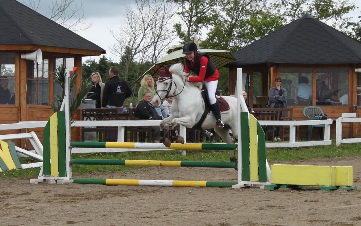 Anden særlig race Jasmine (Snuske) billede 12