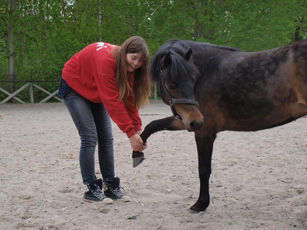Dartmoor Klostermarkens Atlanta billede 7