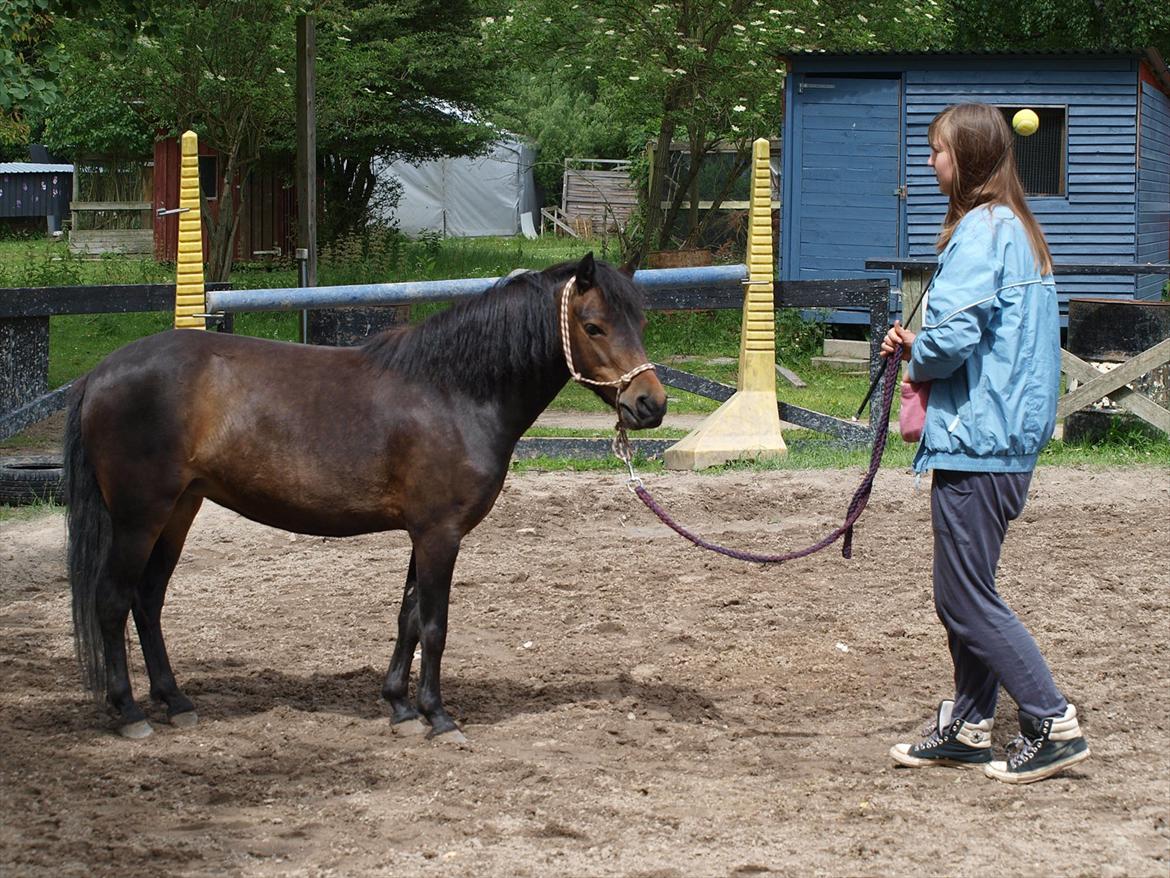 Dartmoor Klostermarkens Atlanta billede 15