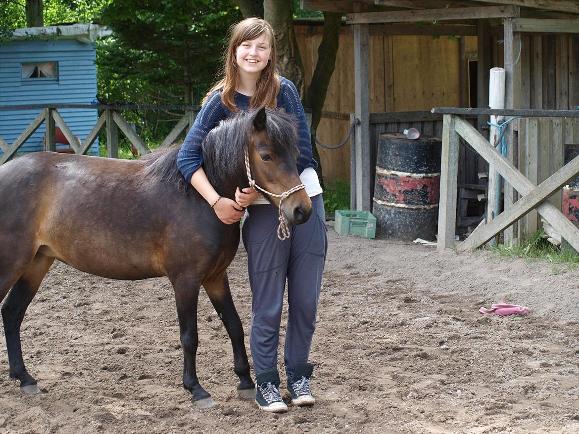 Dartmoor Klostermarkens Atlanta billede 5