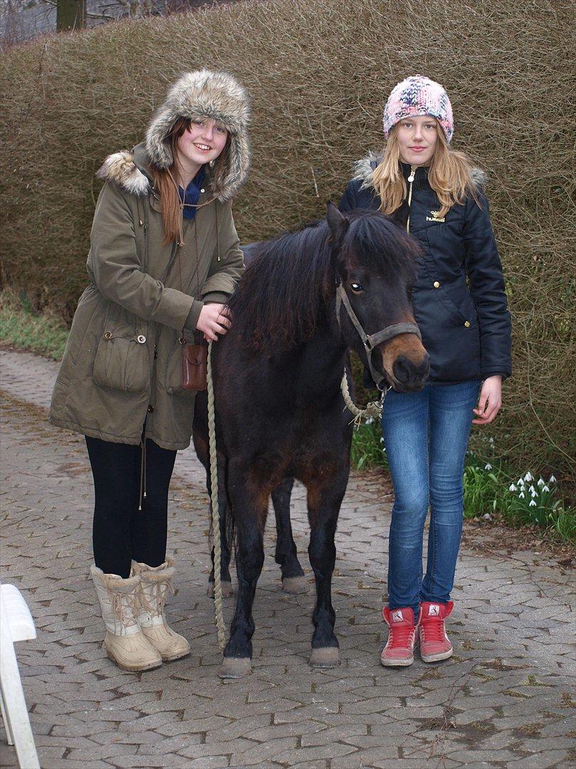 Dartmoor Klostermarkens Atlanta - Mig og Mette hjemme hos mig med Atlanta :D billede 17