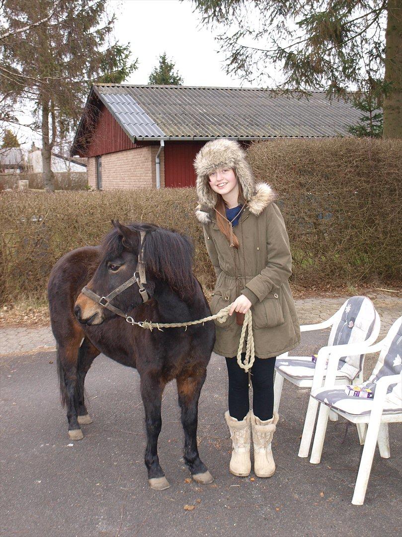 Dartmoor Klostermarkens Atlanta - Et smut hjemme :D billede 16