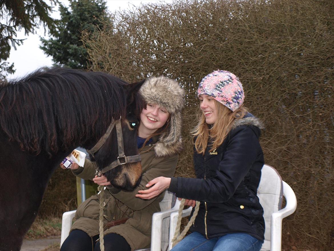 Dartmoor Klostermarkens Atlanta billede 18