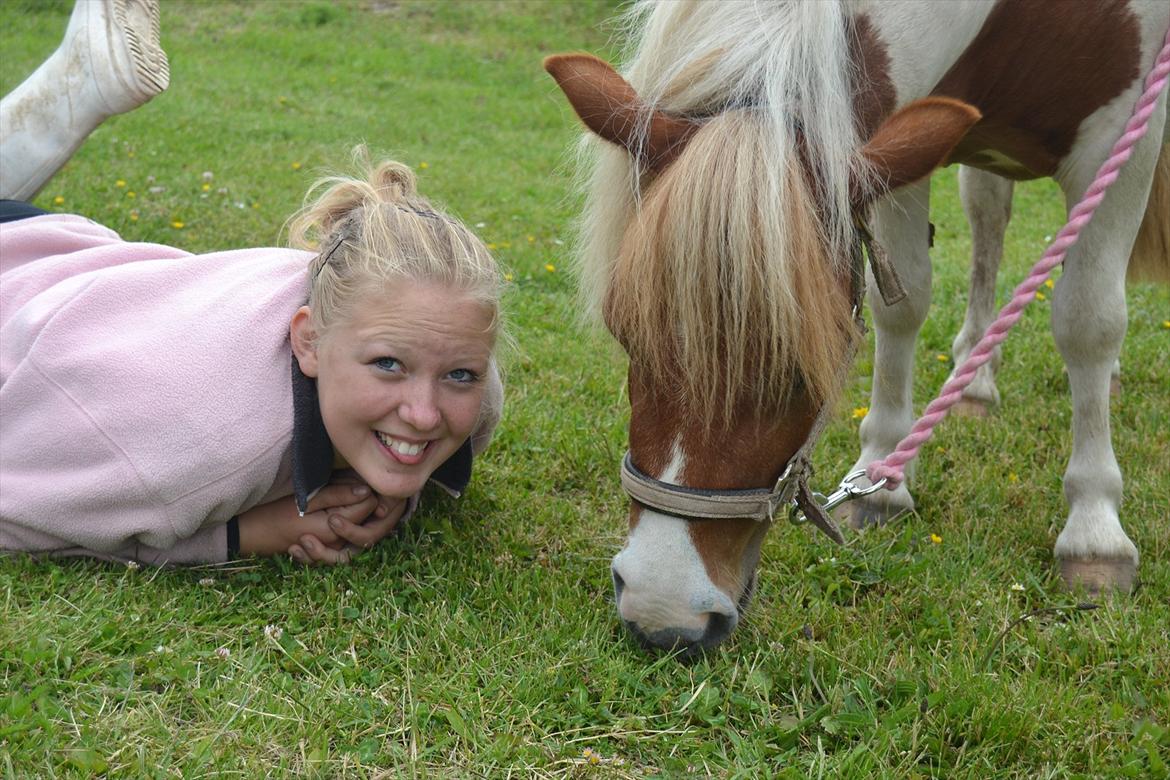 Shetlænder Nikoline - Lillesøster Sofie & Nikoline <3 
Foto: Mig billede 7