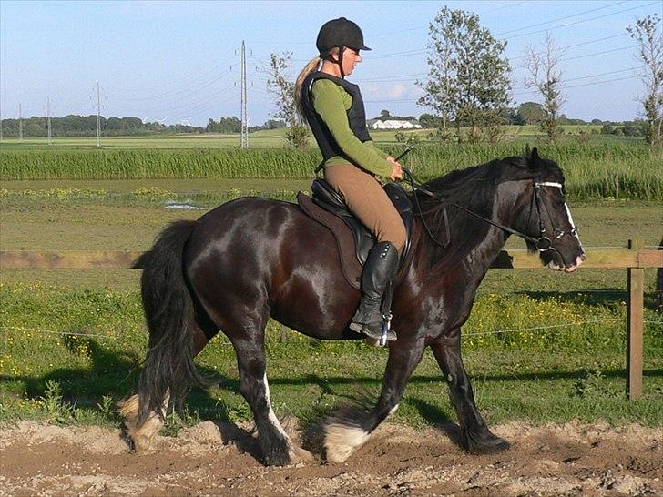 Tinker Zarmora R.i.P - Juni, 2012 billede 19