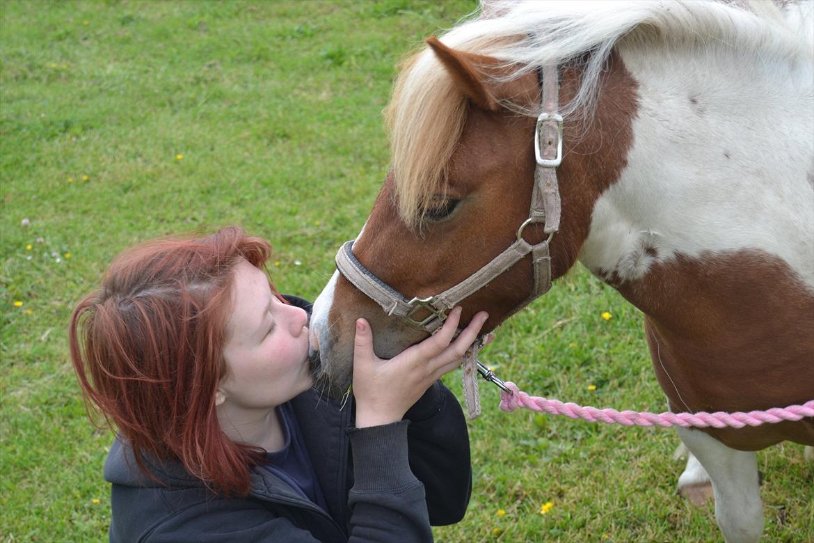 Shetlænder Nikoline - Nikoline & Mig <3 
Foto: Simone billede 10