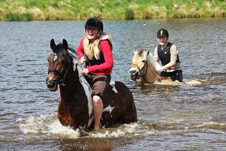 Pinto Apache-  <3 - søødee ponyyydyyyr <3 billede 4