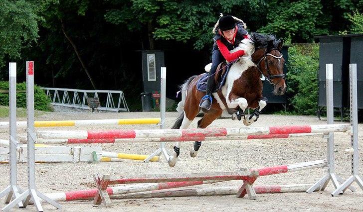 Pinto Apache-  <3 - liiiidt fooor søøøød pony i Parken <3 billede 13