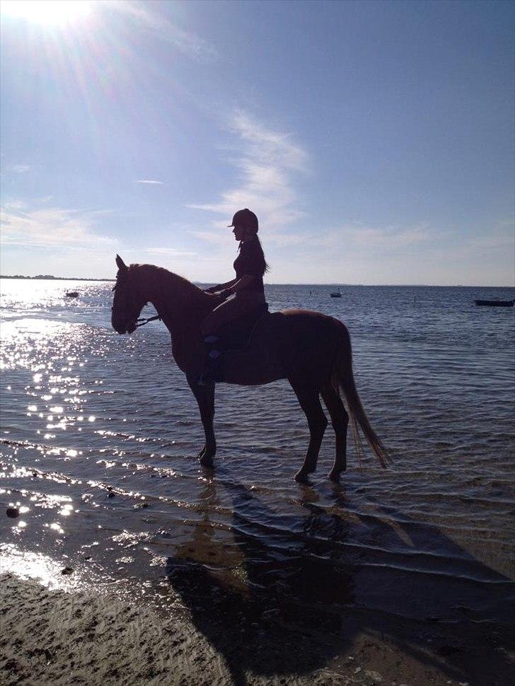 Frederiksborg Niki - Dejlig tur til vandet med drengen billede 3