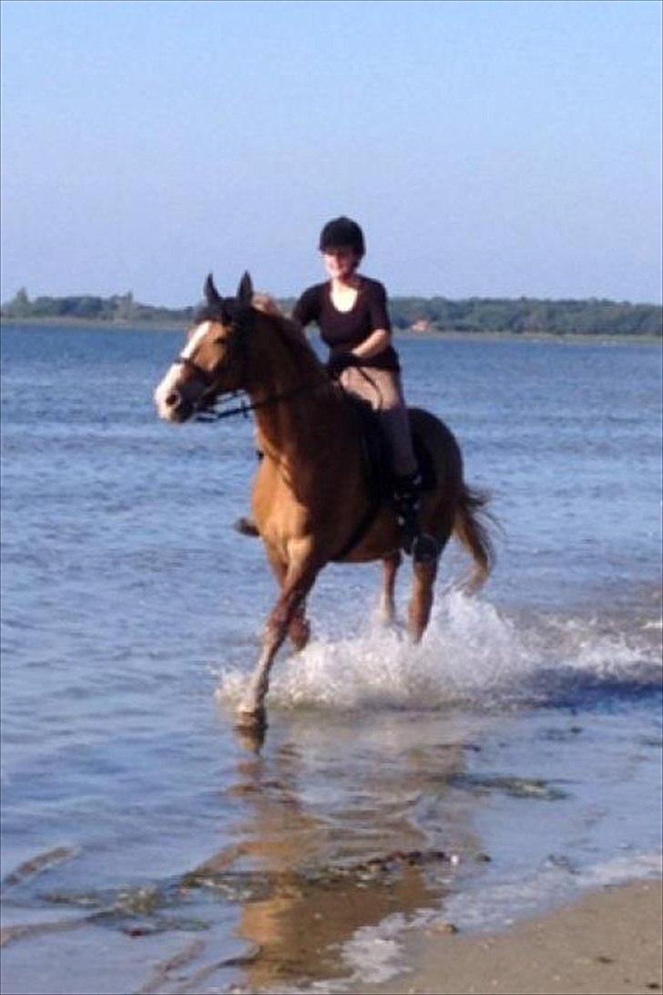 Frederiksborg Niki billede 15