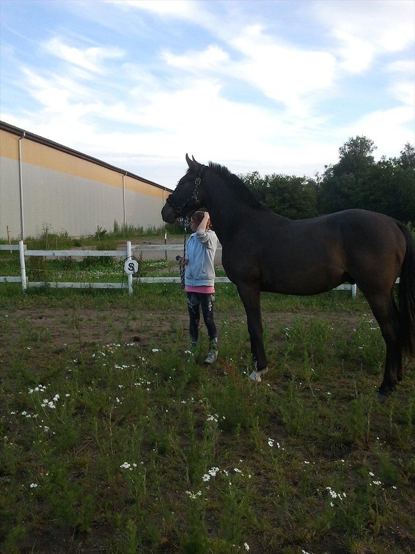 Oldenborg Akeem <3 - Uhh der kommer nogle mennesker mor  billede 21