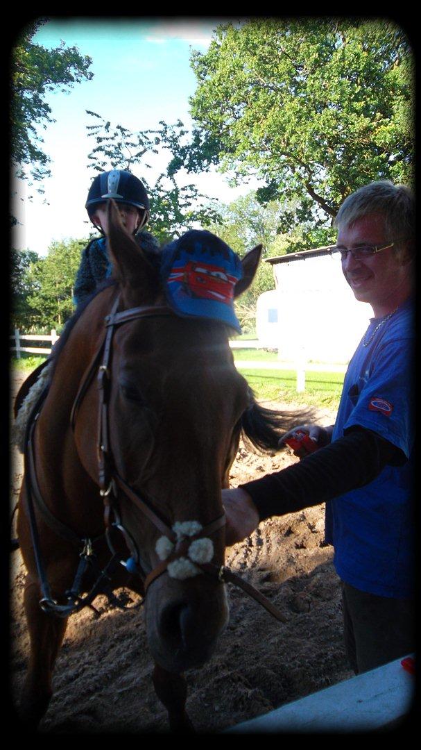 Fuldblod (XX) Flying Times/Flay - UHA Farlig hest.
 billede 2