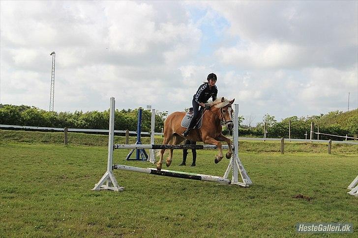 Haflinger Kaspertot's Qena - Det kan godt være, at billedet er taget i et lidt dårligt moment, men vi kommer altså over!<3 billede 3