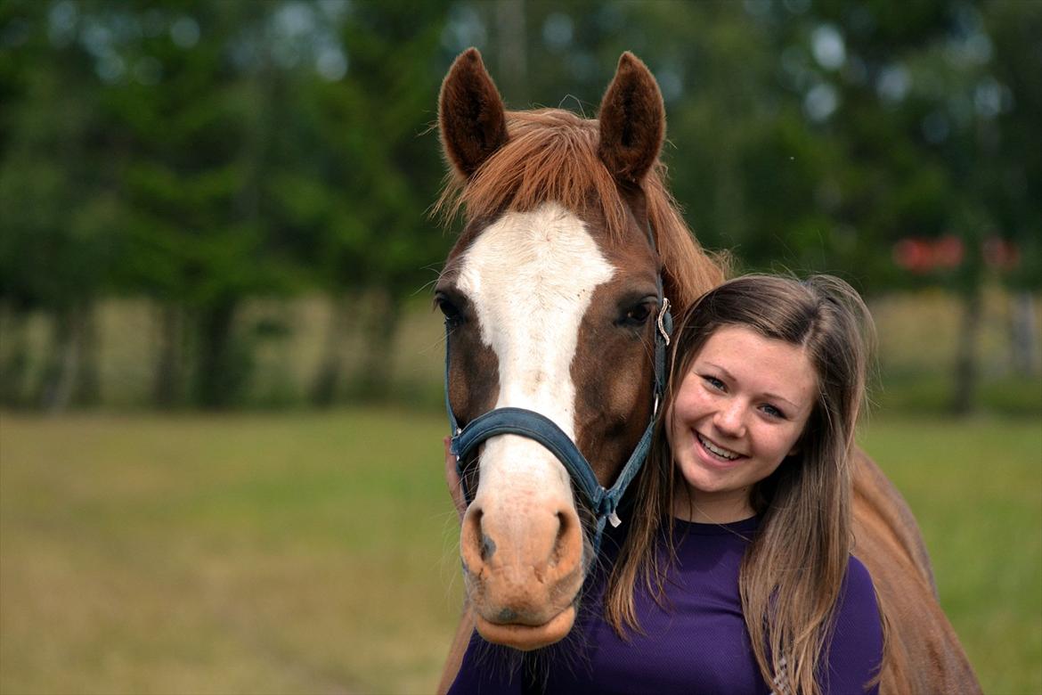 Anden særlig race Fønix R.I.P Minskat <3 billede 5
