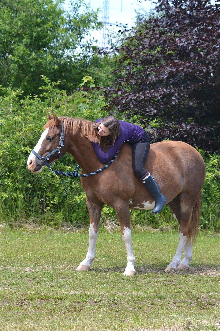 Anden særlig race Fønix R.I.P Minskat <3 billede 16