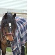 Koldblodstraver May <3 <3