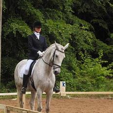 Anden særlig race Moonlight af Ellemose