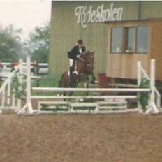 Anden særlig race Flicka