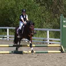 Anden særlig race Flicka  <3 den hurtige