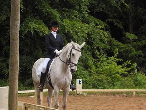 Anden særlig race Moonlight af Ellemose - Stævne på Broløkke billede 1