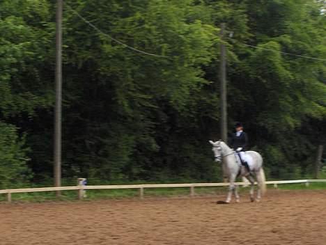 Anden særlig race Moonlight af Ellemose - Fra broløkke billede 4