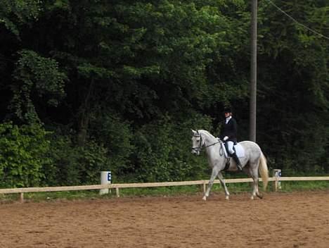 Anden særlig race Moonlight af Ellemose - Broløkke billede 5