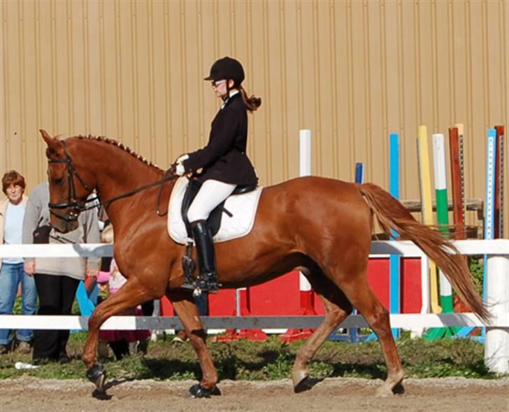 Dansk Varmblod Elmegårdens Le Carre - Le Carre & Mig til Klubmesterskab BHR 07 (3.plads) billede 1