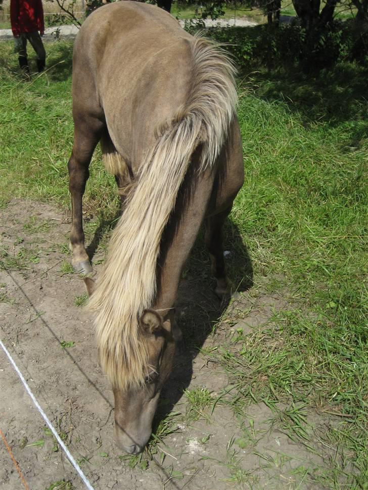 Anden særlig race Højbo's Surprice  - Da jeg var ude og besøge den smukke <3 billede 4