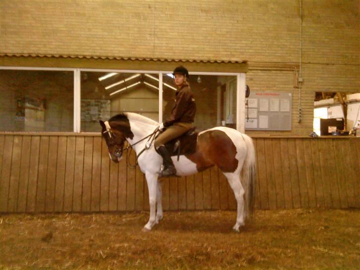 Pinto Miss coco Chanell - Hehe Komet og mig :D jeg ved ikk lige hvad det er jeg kigger efter :) billede 11