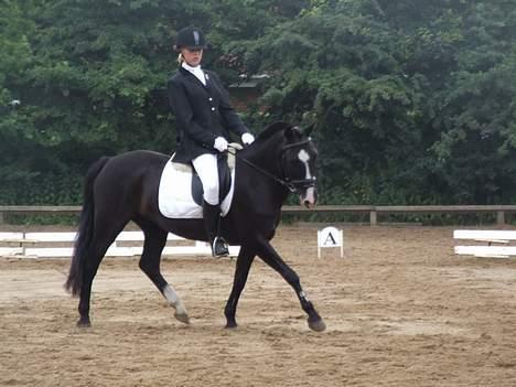 Anden særlig race Max<3 Pensioneret :) - Foto: Bo Hammerum 2006 LB-1 Hold billede 11