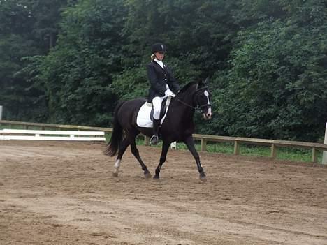 Anden særlig race Max<3 Pensioneret :) - Foto: Bo Hammerum 2006 LB-1 Hold billede 13