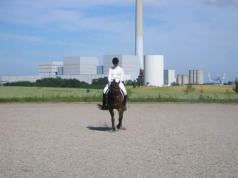Anden særlig race SWEET WONDER ~ solgt. billede 4