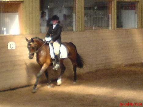 Anden særlig race SWEET WONDER ~ solgt. billede 5