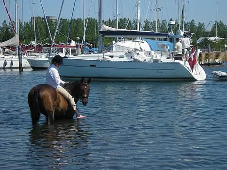 Anden særlig race SWEET WONDER ~ solgt. billede 7