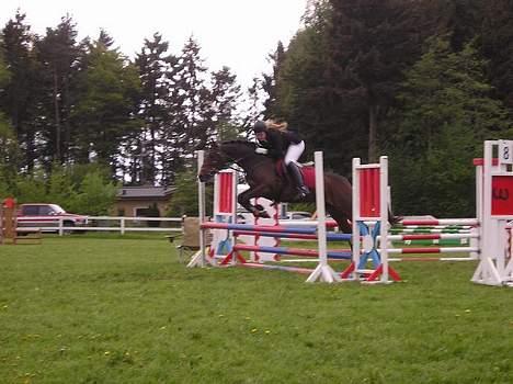 Anden særlig race SWEET WONDER ~ solgt. billede 8