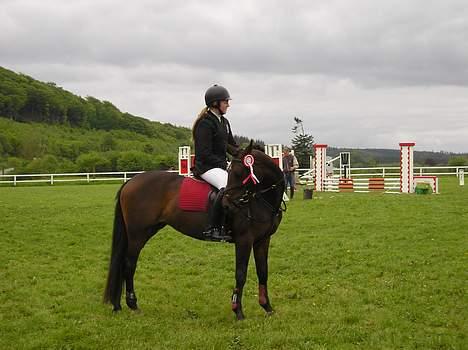 Anden særlig race SWEET WONDER ~ solgt. billede 10