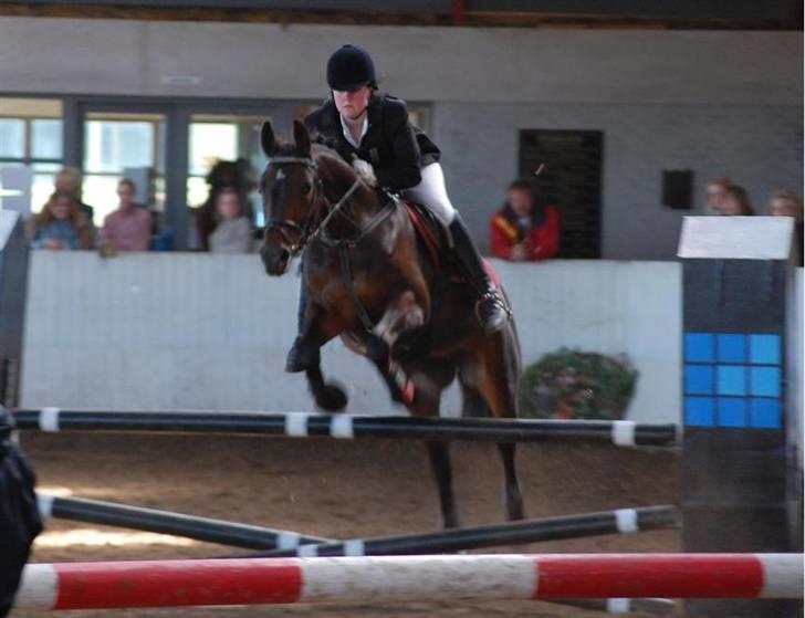 Anden særlig race SWEET WONDER ~ solgt. billede 11