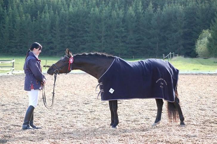 Anden særlig race SWEET WONDER ~ solgt. billede 12