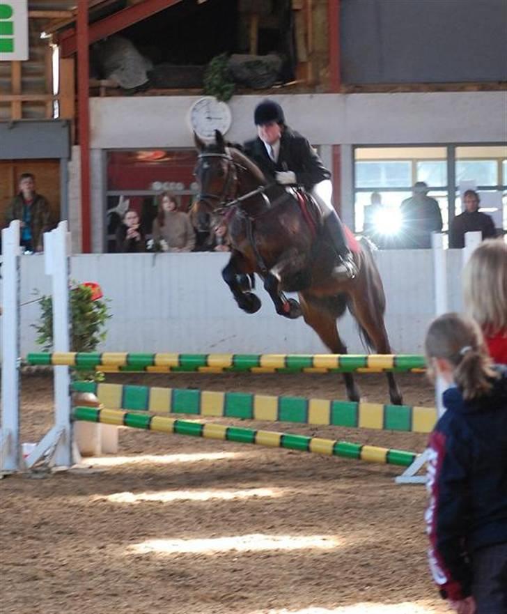 Anden særlig race SWEET WONDER ~ solgt. - Springet er 90 cm (;  billede 14