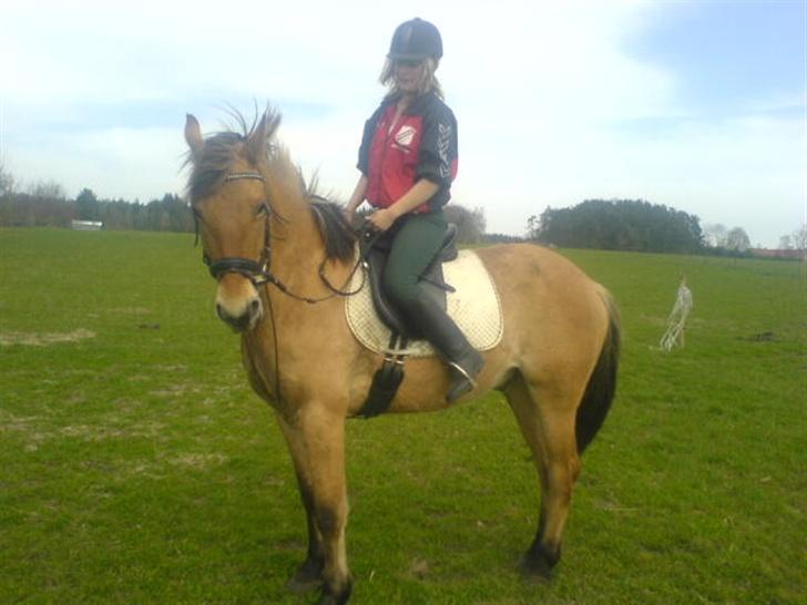 Anden særlig race lukas - d.29-10-06 billede 8