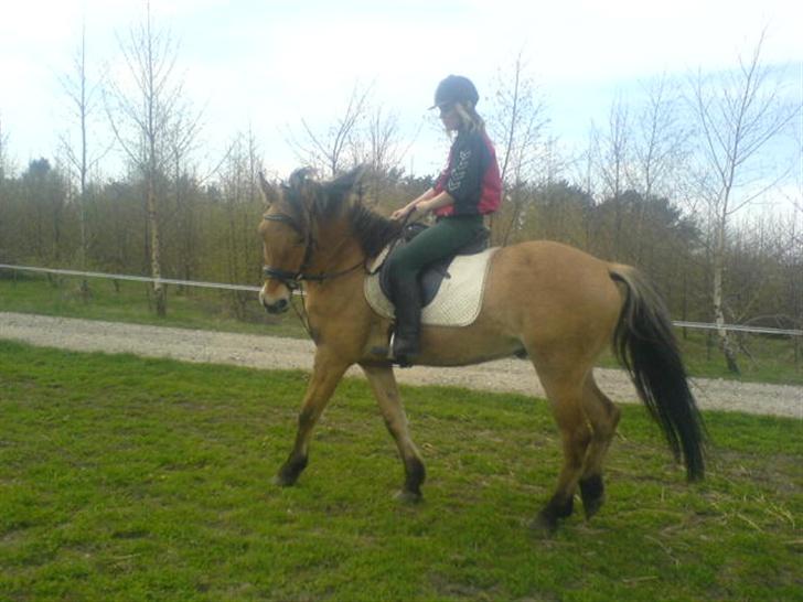 Anden særlig race lukas billede 9