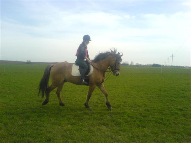 Anden særlig race lukas billede 10