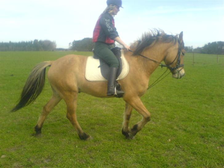 Anden særlig race lukas billede 11