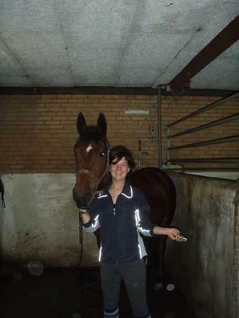 Dansk Varmblod candis viftrup(solgt) - min dejlige hest billede 5