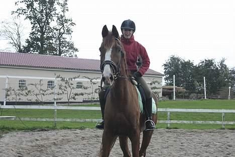 Hollandsk Varmblod Rolanda(Fie) <3 R.I.P. - Fie synes fotografen er utrolig farlig, HJÆÆÆLP, JEG DØR!!! Foto:Lena E billede 3