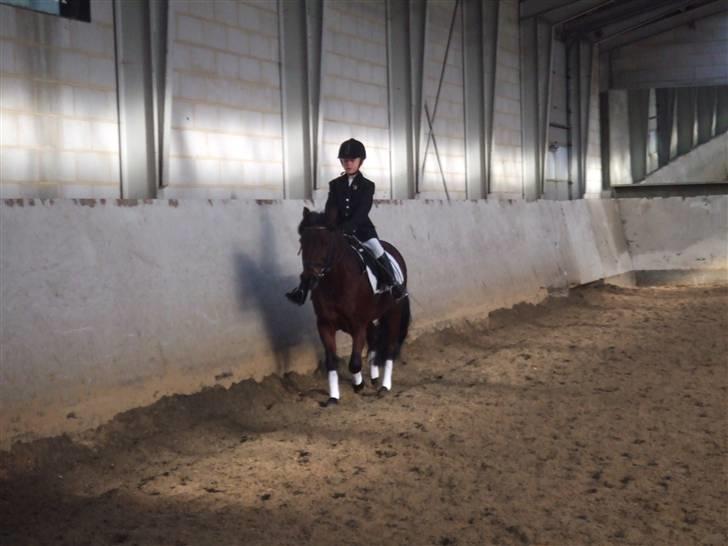 Anden særlig race Flicka  <3 den hurtige - Første LE diktat med søs billede 2