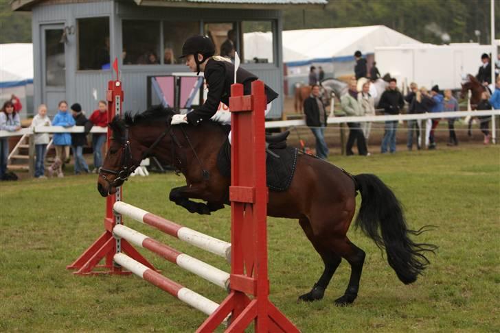 Anden særlig race Flicka  <3 den hurtige - Mors 08. LB ;) billede 4