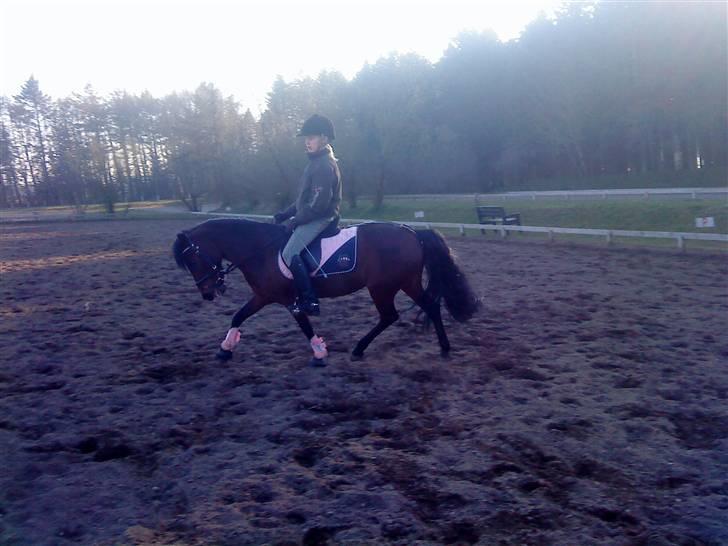 Anden særlig race Flicka  <3 den hurtige - *NYYT!* Flicka, dressur d. 3/4 2009<333 Foto: Clara :D billede 5