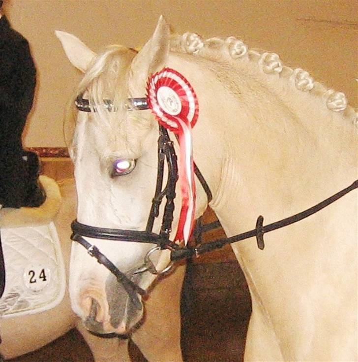 Anden særlig race Butterfly<3 billede 17